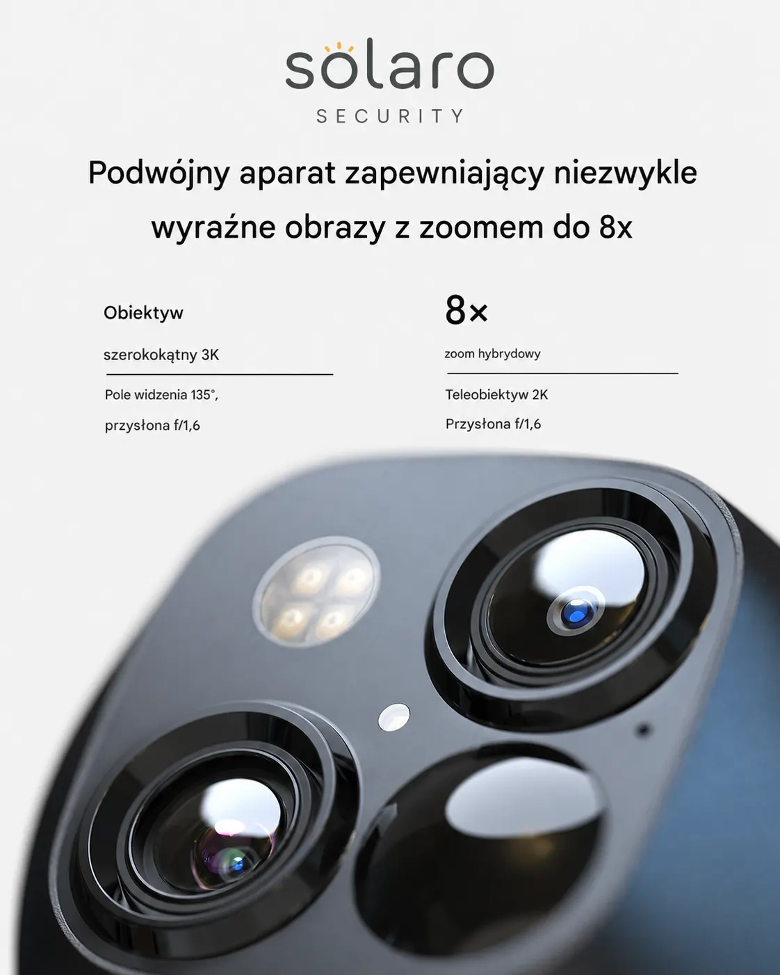 Ochrona domu i posesji